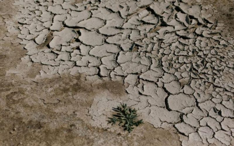 Climate Resilient Mountain Agriculture