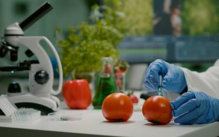 Food Science and Technology